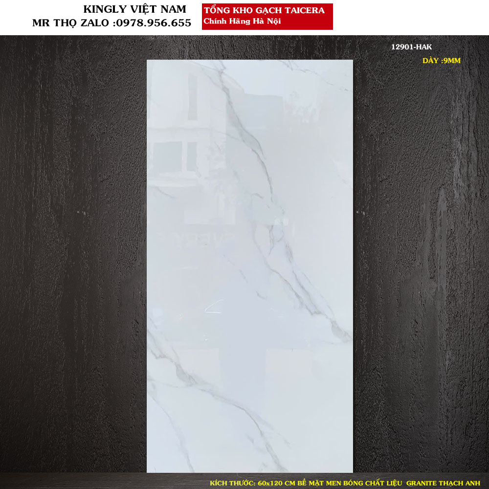 Gạch trắng vân 60x120 cm Taicera 12901 Loại 1